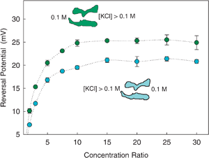 Change of OmpF reversal potential (absolute value) with salt concentration ratio in KCl solutions at pH 6. The lower electrolyte concentration was kept at 0.1 M while the higher concentration was changed to obtain the desired concentration ratio. Details of the experiments are given elsewhere.36