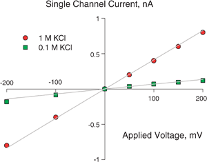Experimental (symbols) and theoretical (solid lines) current–voltage curves in OmpF channel for two KCl electrolyte solutions. The model correctly predicts the change in the slope of the curves.