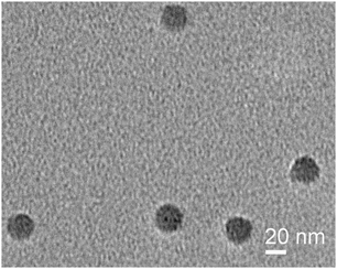 Unstained TEM image of FePt-CPMV mineralized particles.