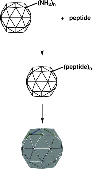 scheme, filename = c0ib00056f-s1.gif