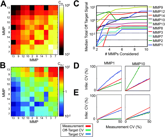 
            Parameter matrix error analysis. (A) Model error covariance matrix RM. (B) Relative model error matrix, RrM. (C) Median off-target PrAMA inference error as a function of the number of MMPs considered in the parameter matrix, averaged over all possible combinations of MMP subsets. (D,E) Average target and off-target inference error as functions of the synthetic measurement error, when all MMPs (D) or only MMPs 1 & 10 (E) are considered in the parameter matrix. (C–E) Parameter matrix C was constructed using enzymes at ∼0.5 nM. σT = 0 for all results here. (C) Cleavage signatures were obtained at ∼0.05 nM.