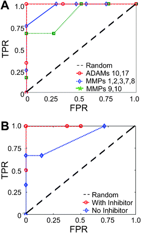 
            Using 
            PrAMA
             with background 
            protease activity
             and 
            protease inhibitors
            . (A) The figure legend indicates which MMPs are considered in the parameter matrix. The corresponding ROC curves describe PrAMA inference accuracy for mixtures that contain MMPs and ADAMs that are both considered and ignored in the parameter matrix. (B) Inference for a triple-enzyme mixture involving MMP3, MMP7, and MMP9, with or without invoking information from an MMP9 inhibitor. For inference with inhibitor, p < 0.001.