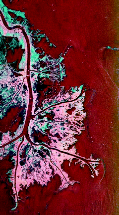 ugraphic, filename = c1ib90008k-u1.gif
