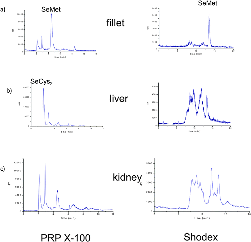 Chromatograms on PRP-X100 (left panel) and Shodex (right panel) obtained by LC-ICP-MS at m/z = 80, corresponding to buffered extraction in a control temperature incubation. a) fillet, b) liver and c) kidney of Se-enriched animals.