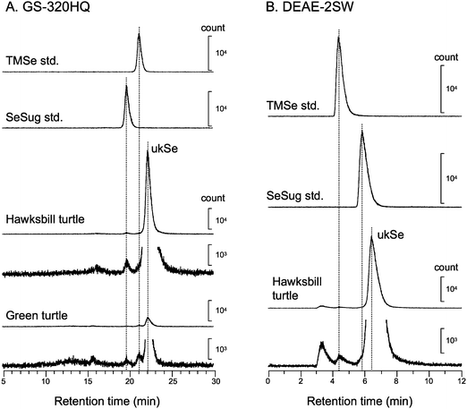 Elution profiles of low molecular weight Se compound in the hepatic cytosol of sea turtles. Heat-treated cytosol fractions of hawksbill turtle and green turtle were applied to a multi-mode gel filtration column, GS-320HQ column (A), and an anion exchange column, DEAE-2SW column (B). The chromatographic behavior of the Se compound from sea turtles was compared with those of authentic Se standards on both columns. The concentrations of TMSe standard and selenosugar (SeSug) standard were 1.0 µg mL−1; ukSe: unknown Se compound.