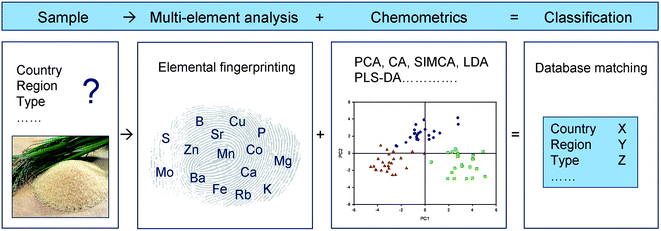 Principles for authenticity testing of plant products using multi-elemental fingerprints and chemometric data analysis. This approach is suitable for e.g., classification of genotypes or plants from different geographical locations (country, region).