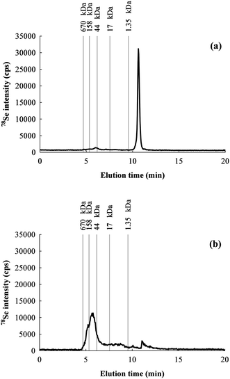
            Chromatograms for 78Se obtained by SEC-HPLC of the same rat colon sample extract: (a) without bubbling N2 in the buffer during the extraction and (b) by bubbling N2.