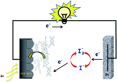 The photoelectrochemical cell based on the GO–H2P hybrid material.