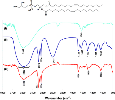 ATR-IR spectra of (i) uncoated Fe3O4 nanoparticles, (ii) DOPG liposomes (no iron oxide), and (iii) PG-Fe3O4. Inset: molecular structure of DOPG.