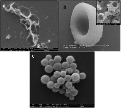 The different morphologies of BPVA-PVApolymer membrane on dissolving the MF particles (a) and (b) are images of hollow capsules and hemispheres respectively. (c) Microspheres of BPVA-PVApolymer.