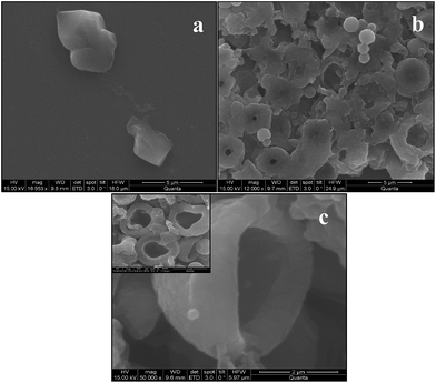 Different morphologies of BPVA-PVApolymer membrane on dissolving the MF particle depending on vortexing duration. (a) Image of rigid capsules or capsules with thick membrane. (b) Hollow distorted spheres with pores on the surface and (c) distorted hemispheres.