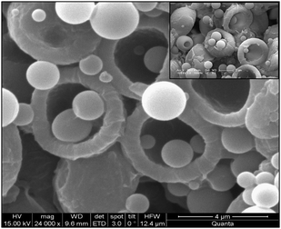 
              BPVA-PVA
              polymer hemisphere loaded with colloidal particles. These colloidal particles are formed during the deposition of polymer on MF particles.