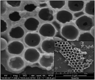 Honeycomb arrangement of the hemispheres; BPVA-PVA coated particles are drop cast on silicon wafer. After proper drying the coated particle assembly, MF particles are dissolved with 0.1 N HCl solutions and thus honeycomb arrangement of the hemispheres were observed.