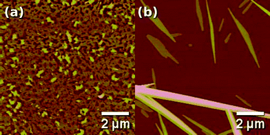 Topographical AFM images of an HDTT spin-coated film on SiOx (a) as prepared and (b) after SVA treatment. z-Scale: (a) 50 nm and (b) 150 nm.