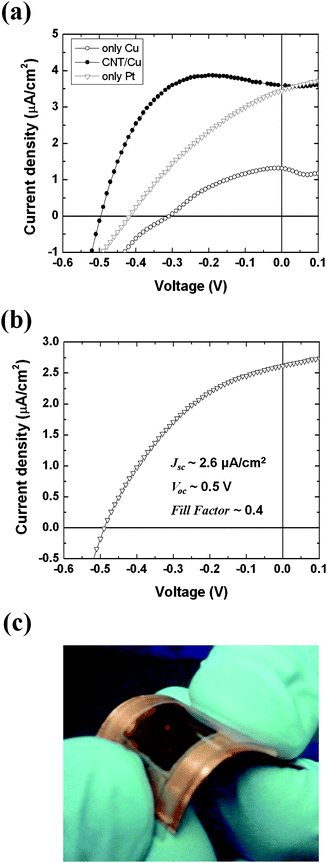 (a) Data comparison illustrating the effect of carbon nanotube coating on the photovoltaic performance compared to the one of uncoated Pt and Cu electrodes. The amount of the carbon nanotube coated on the Cu electrode was ∼0.03 mg/cm2. (b) J–V characteristics of a prototype flexible HGPV cell, where the Cu foil coated with graphite/carbon black mixture was used as a counter electrode. (c) Photograph of the real prototype flexible device with an active area ∼125 mm2. The light source was a fiber optic illuminator. All of the samples were characterized after illumination for 5 min.