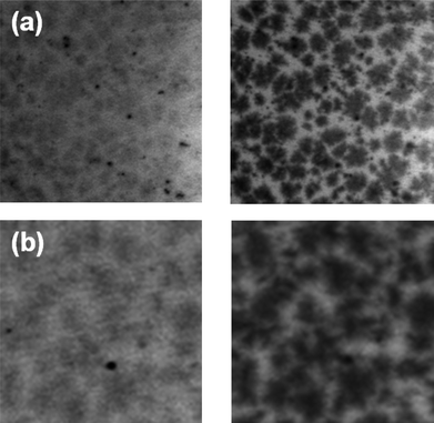 15 × 15 μm scanning transmission X-ray microscopy (STXM) images for P3HT:PC61BM blends processed with: (a) HDT and (b) NDT. The left images are taken at 200 eV and the right images are taken at 285 eV.