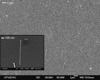 
          SEM images of dispersed single dye/Sep particles.