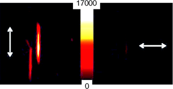 Polarized intensity images of 130% CEC LDS 722/particle: (left) emission detected along the long-axis (c-axis) of the Sep fiber; (right) orthogonal to the Sep c-direction.