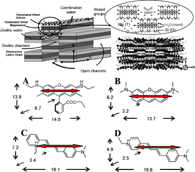 (Top) Schematic illustration of sepiolite clay structure; (Botton) dye dimensions in Å (AM1, Mopac): (A) R6G, (B) PY, (C) LDS 698 and (D) LDS 722. The transition moment (arrows) along the long molecular axis of the dye molecules (TD-DFT, Gaussian 09) is also included.