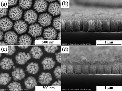 (a) and (b) SEM images of the hematite hierarchical columnar arrays PLD-synthesized on PS monolayer at an oxygen pressure of 6 Pa. (c) and (d) SEM images of arrays PLD-synthesized on PS monolayer at an oxygen pressure of 60 Pa.121