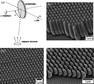 (a) Schematic of oblique angle deposition.128 (b) Side-view and (c) top-view of Si nanopillars by PS sphere-shadowed OAD. (d) Cr nano-half-moons.124