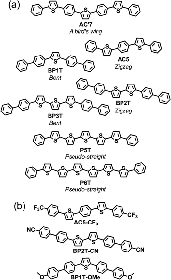 The thiophene / phenylene co-oligomers: exotic molecular