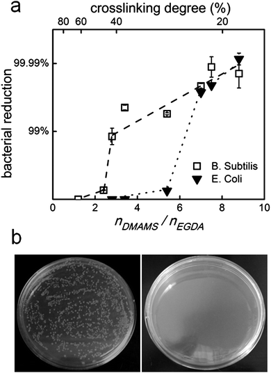 (a) Bacteria reduction rate of P(DMAMS-co-EGDA) coatings against B. subtilis and E. coli. Dashed and dotted lines only indicate the trend of data. Where not shown, error bars are smaller than the data symbols. (b) Bacterial colonies formed on the agar plates from antibacterial tests of control (left) and P(DMAMS-co-EGDA) coating C6 (right).