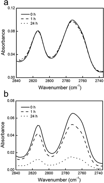 
            FTIR spectra of the C–H stretching absorbance in tertiary amine groups of (a) P(DMAMS-co-EGDA) coating C7 and (b) un-crosslinked PDMAMS coating before (solid line), after 1 h (dashed line) and 24 h (dotted line) washing in PBS solutions.