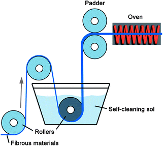 Schematic representation of self-cleaning processes on (a) a