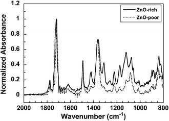 Micro-FT-IR ATR spectra of the ZnO-rich phases and ZnO-poor phases in Blend-300 film. Peak intensities are normalized at 1724 cm−1.