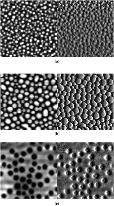 
            AFM height (left) and phase (right) images of films of (a) 1 : 1, (b) 1 : 3, and (c) 1 : 6 P3/PCBM blends (vertical grey scale is 50 nm for all three height images; vertical grey scale for phase images are 70, 80, and 45° for a, b and c, respectively, while each image shows a 1 × 1 µm square). RMS roughness values for (a), (b), and (c) are 7.2, 9.2 and 8.6 nm, respectively.