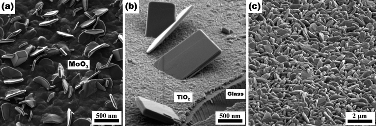 
          MoO3 structures obtained after quenching at (a) 350 °C and (b) 400 °C. (c) SEM image of the film prepared by using 2-propanol as the solvent.