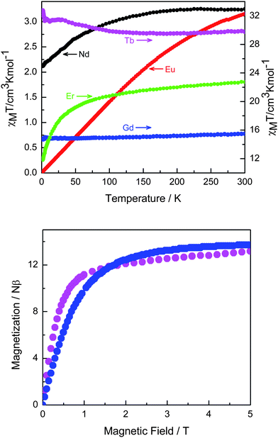 Temperature dependence of the χMT products for all MOFs (top). Field dependence of the magnetization recorded at 2 K for Gd- (blue circles) and Tb- (violet circles) MOFs (bottom).