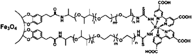 The conjugate of magnetic Fe3O4 nanoparticles and fluorescent Ru(dcbpy)2(NCS)2 complex (S. Sun, DOI: 10.1039/c0jm03119d).