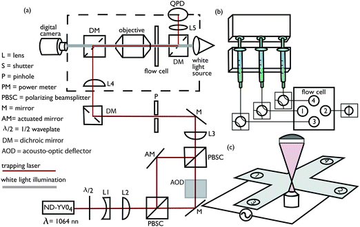 Schematic of optical tweezers electrophoresis instrument and accompanying micro-fluidic hardware. (a) Optical tweezers and back-focal plane interferometry. (b) Syringe pump, valves, and connections to micro-channel electrophoresis flow cell (with an asymmetric flow configuration). (c) Crossed parallel-plate micro-channel electrophoresis flow cell.