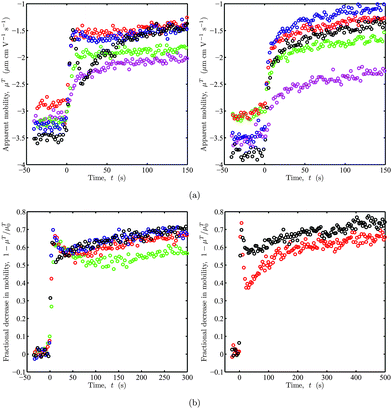 Representative electrophoretic mobility time series from OTE. (a) Apparent mobility μTversus time t for bare silica micro-spheres abruptly exposed to 100 kDa PEO solutions at t = 0 s with concentrations c ≈ 2 (magenta), 6 (green), 16 (red), 50 (blue) and 150 ppm (black). PEO solutions flow perpendicular (left) and parallel (right) to the electric field with flow rate Q1 ≈ 4 μL min−1. (b) Fractional decrease in (apparent) mobility 1 − μT/μT0versus time t for bare micro-spheres with (apparent) mobility μT0 when t < 0 s and PEO pre-adsorption onto the channel walls. See the main text for details. At t = 0 s, each particle is abruptly exposed to a 100 kDa PEO solution with concentration c ≈ 150 ppm flowing perpendicular to the electric field. In the left panel, Q1 ≈ 1 (green), 2 (red), 4 (blue), and 8 μL min−1 (black). The right panel compares data with (black) and without (red) polymer pre-adsorption onto the channel walls: Q1 ≈ 4 μL min−1.