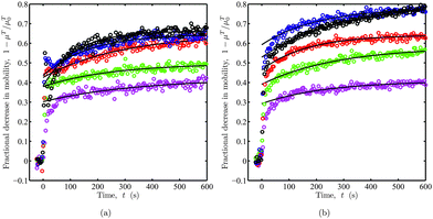 
            OTE fractional decrease in (apparent) electrophoretic mobility 1 – μT/μT0. Replotted from raw mobility data in Fig. 6(a) with asymmetric (left) and symmetric (right) flow configurations. Lines are least-squares fits of eqn (29) for t≳50 s. The fitting parameters are listed in Table 1.