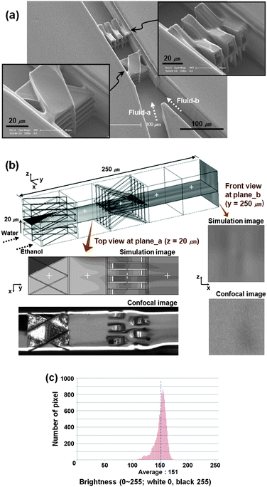(a) SEM images of the H/V-CMM fabricated in the microchannel. A dead zone of fluids is observed in the triangle region between the manifolds and the side wall of the channel. It is formed by the accumulated dose between the structures. However, the dead zone is not significantly large, and it would be resolved by reducing the laser power. (b) Gray-scale images of simulation and experimental results. Ethanol with rhodamine B (0.1 wt%) and water flow from left to right; the white color is the fluorescence of the dye. (c) The number of pixel vs. the distribution of brightness of the confocal image at plane_b in Fig. 5(b).