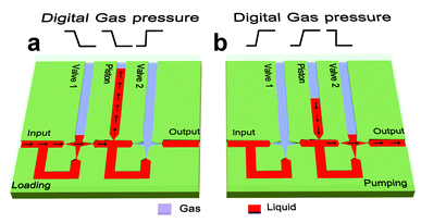 The working principle of a micro surface tension pump (MISPU). A MISPU consists of two valves (MISVA) and one piston (MISTON). The black arrows along the channels indicate the loading flow when the gas pressures on valve 1 and the piston change to low (see the red zigzag line), the pumping flow when the gas pressures on valve 1 and the piston change to high and when gas pressure on valve 2 changes to low (see the red zigzag line).