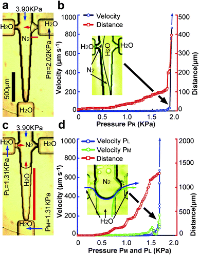 The leakage tests of a MISVA. Under counter pressure (PR in a) from the output channel or high loading pressure from the input channel (PL and PM in c), the gas–liquid interface recedes (red arrows in a and c). If the receding distances are too high, leakage occurs (b and d). The leakage flows of the MISVA were measured by suspending polystyrene beads (2.0–2.9 μm) in the channels (flow velocity of b in channel R and flow velocity of d in channels M and L). The red bars (in a and c) show the distance measurement methods. The blue arrows (in b and d) show velocities too high to be measured. The insert in b shows the gas–liquid interface from channel R about to touch channel L. The insert in d shows the leakage flow (from channel L and channel M, indicated by blue and green arrows, respectively).