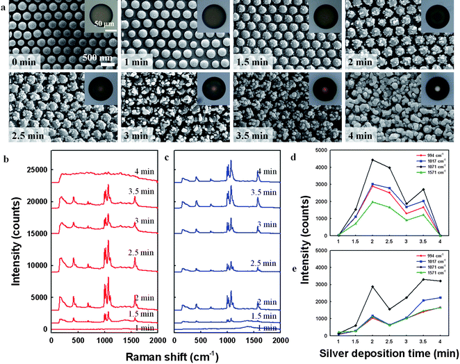 (a) SEM images showing the surface morphology evolution of silver-decorated silica arrays on microsphere surfaces for silver deposition times of 0 to 4 min. Insets show optical microscope images of the corresponding microspheres. (b,c) SERS spectra of benzenethiol (BT)-adsorbed silver-decorated microspheres prepared using various silver deposition times, measured from microspheres in (b) air and (c) ethanol. (d,e) SERS signal intensities at 994, 1017, 1071, and 1571 cm−1 as a function of silver deposition time for microspheres in (d) air and (e) ethanol.