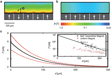 Characterizing the self-assembled magnet filter. (a) Magnetic field simulations. The magnetic field is plotted on the cross-section of the microfluidic channel for an ideal system of anti-aligned magnetic dipoles. White arrows represent the dipole direction. (b) For comparison, the magnetic field is also plotted for a system in which all of the poles are uniformly aligned. The |B| from (a) decays much faster than in (b), resulting in much greater magnetic forces for the case of anti-aligned dipoles. (c) The inset shows the experimentally measured force on magnetic beads (Dynabead MyOne, Invitrogen) as a function of their distance from a self-assembled magnet (black) and a uniformly magnetized magnet (red). The force measured on the self-assembled magnet has a magnitude of several nN and fits well to an exponentially decay function, plotted (black) with upper and lower bounds (dotted lines in red) vs.d.