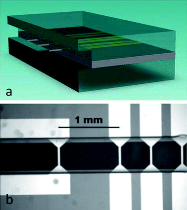 Panel a: Schematic 3D rendering of flowrate sensor geometry, shown bisected by the symmetry plane of the channel. The heater and detector bridges are suspended in the middle of the 100 μm tall channel. The lateral spacing of the bridges was 500 μm. Panel b: Micrograph of the fabricated sensor. The three bridges to the right (spaced 500 μm apart) were used for the measurements.