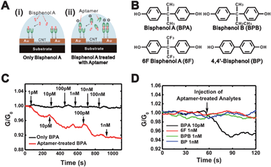 
            Detection of non-polar BPA molecules viaaptamer sandwich-based swCNT-FET sensors. (A) Schematic diagram showing the sensing experiment set-up using swCNT-FETs functionalized with BPA aptamer. (i) Sensing experiment of bare BPA. (ii) Sensing experiment of BPA molecules treated with aptamer. (B) Members of the bisphenol family with similar structures. (C) Real-time conductance measurement data obtained from the aptamer-functionalized swCNT-FET sensor after the injection of bare BPA molecules (black line) or aptamer-treated BPA molecules (red line). The aptamer-functionalized swCNT-FET sensors exhibited the conductance change only when 1 pM aptamer-treated BPA molecules were injected. (D) Response of aptamer-functionalized swCNT-FET sensors to the injection of BPA, BPB, 6F, and BP molecules that had been treated with the BPA aptamer. It exhibited response only to the aptamer-treated BPA molecules.