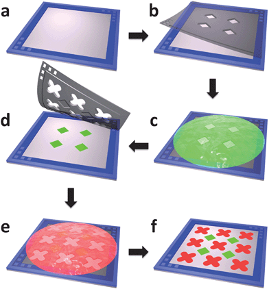 The fabrication of two-protein micropatterns using stereomask lithography. (a) Aligning frame with micropillars is laminated onto target substrate. (b) First stereomask is aligned with aligning frame using peg-in-hole method and laminated onto substrate. (c) BSA-FITC is incubated. (d) Second stereomask is aligned using the same method and laminated onto substrate. (e) BSA-TR is incubated. (f) Second stereomask is peeled off and two-protein patterning is complete.