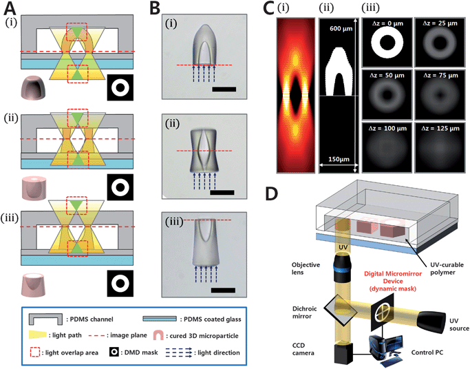 Fabrication of microcups. (A) Schematic illustration of the approach used to manufacture 3D microcups with 3 different morphologies with arbitrary control of focus depth. (B) Bright field images of fabricated 3D microcups with 3 different shapes. All the 3D microstructures are extruded from a same ring-shaped mask pattern. All scale bars indicate 100 µm. (C) Simulation of light propagation. (i) A cross-sectional view of calculated z-dependent intensity distribution of light projected from a ring-shaped object. (ii) Estimation of the particle shape by determining the gel point. (iii) In-plane light intensity distribution; different values of Δz are displayed. (D) The OFML system used for creating 3D microstructures. The OFML system is composed of two parts: the focus-tunable channel and the optical system.