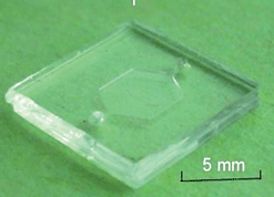 Photograph of the hybrid PDMS–glass microchip. DNA microarray was spotted on the glass substrate. The outer dimension of the microchip was 10 mm × 10 mm and the volume of the microchamber was 2 µl.