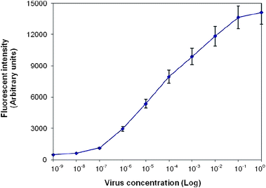 Sensitivity of solid-phase RT-PCR. Serial 10-fold dilutions of viral RNA extracted from H16N3, ranging from 100 to 10−9, were used as templates. Replicate solid-phase PCR was prepared each containing 1 µM forward primers and 0.5 µM reverse primers in solution, and 20 µM probes immobilized on glass surface. Fluorescence intensities of probes specific to M gene were measured. Values represent the mean fluorescence and the standard deviation of triplicate reactions for each template concentration. The detection limit was 10−6, or equivalent to 0.7 log10EID50 per ml.