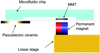 Driving concept of the MMT actuated by a permanent magnet with ultrasonic vibration. Oscillating the glass substrate by the piezoelectric ceramic reduces the effective friction on the MMT.