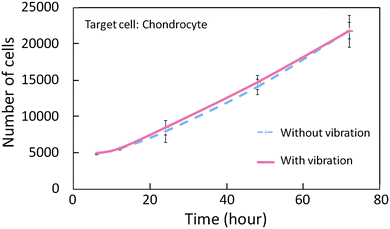 Vibration toxicity test result for cells (target cell: chondrocyte).